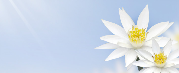 Medical Writer - Dr. Karen Yeow